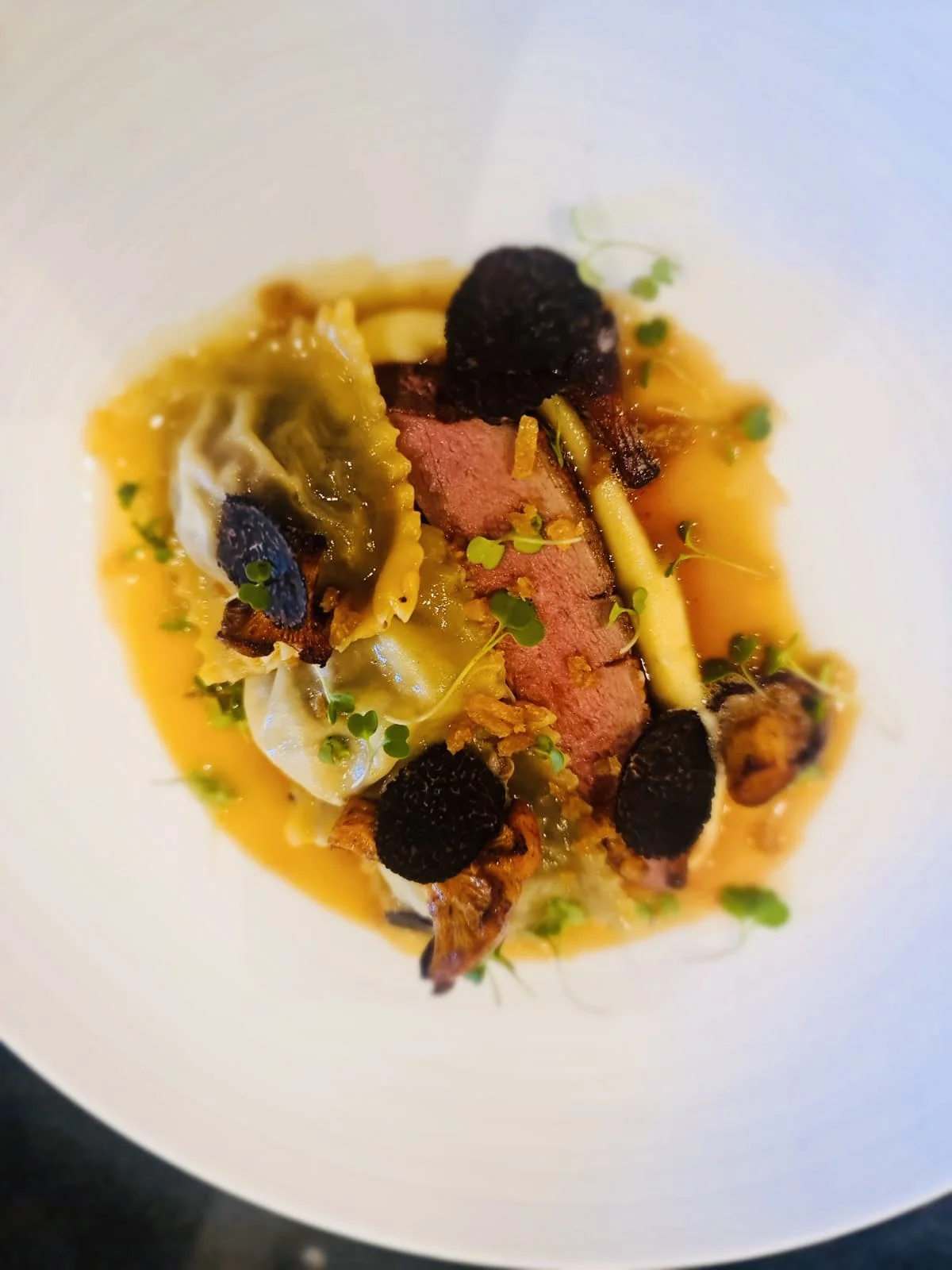 A gourmet dish with sliced medium-rare steak, black truffle slices, pasta, and microgreens in a white bowl