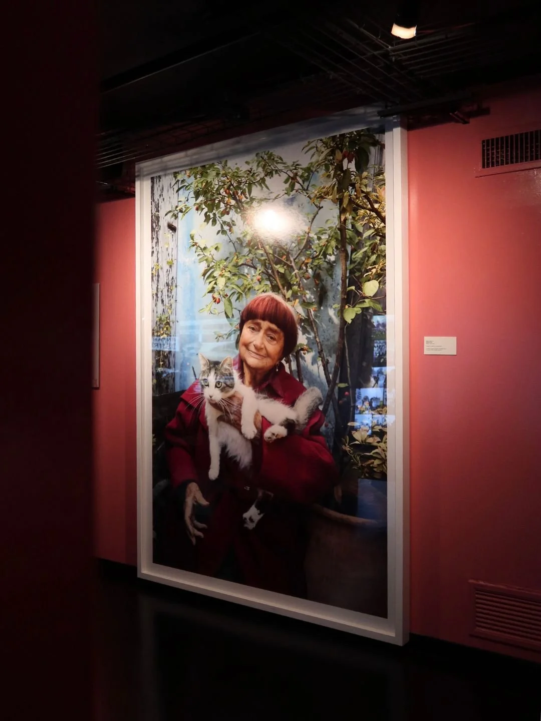 Riproduzione fotografica di un'opera esposta nel percorso espositivo dedicato ad Agnès Varda a Bologna. Servizio di archiviazione visiva per eventi culturali.