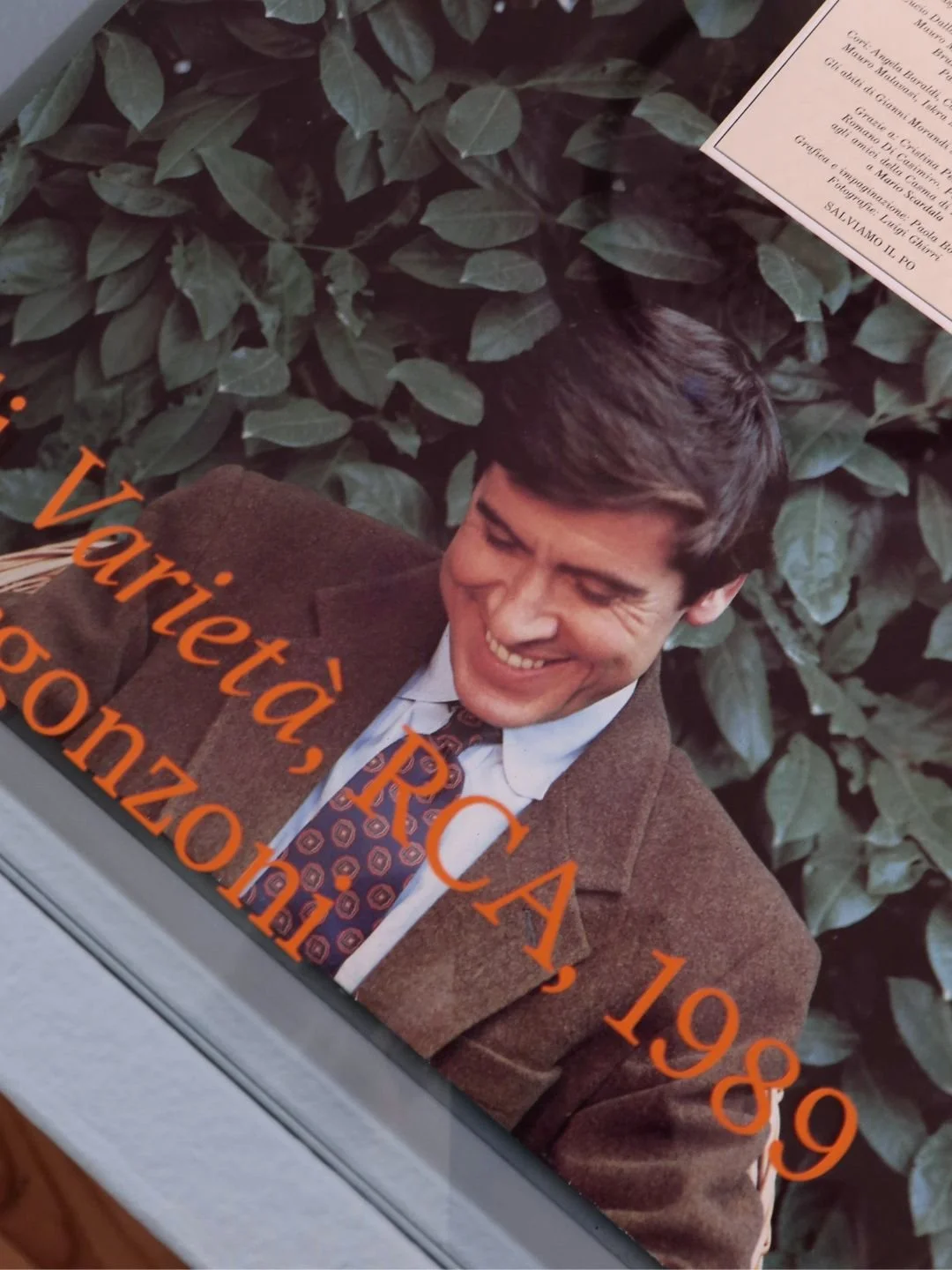 Foto di un uomo sorridente con giacca marrone, camicia bianca e cravatta, con sfondo di foglie verdi.