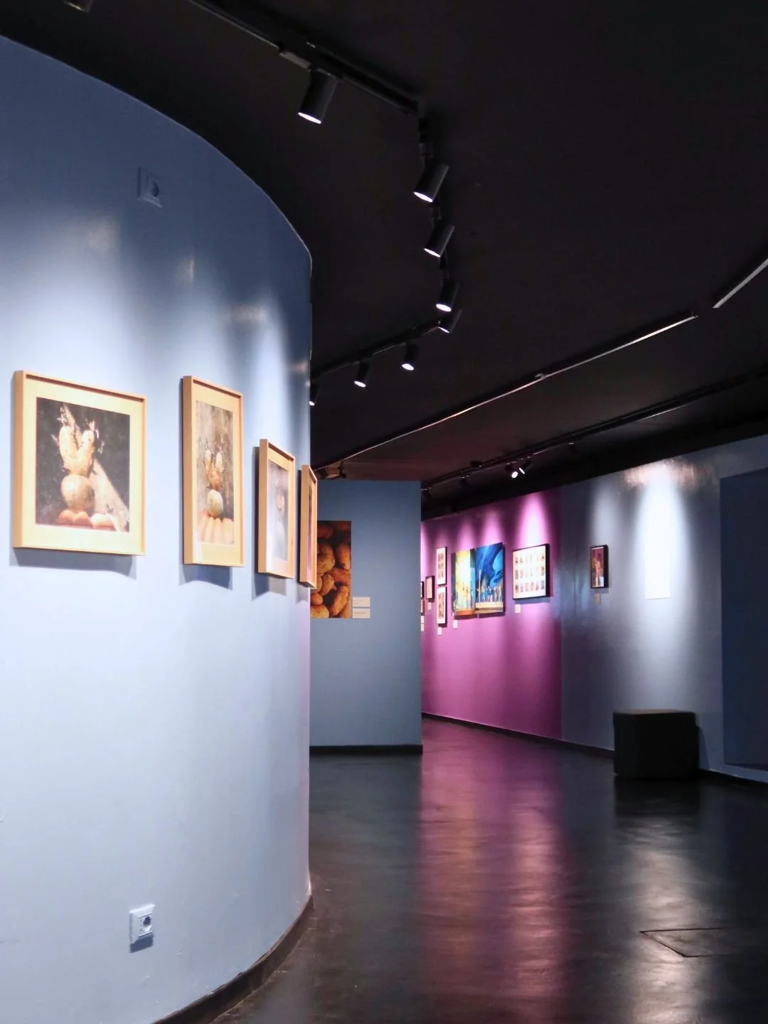 Gallery d'arte con quadri appesi alle pareti blu e viola, illuminazione con faretti neri, pavimento in legno, pareti curve
