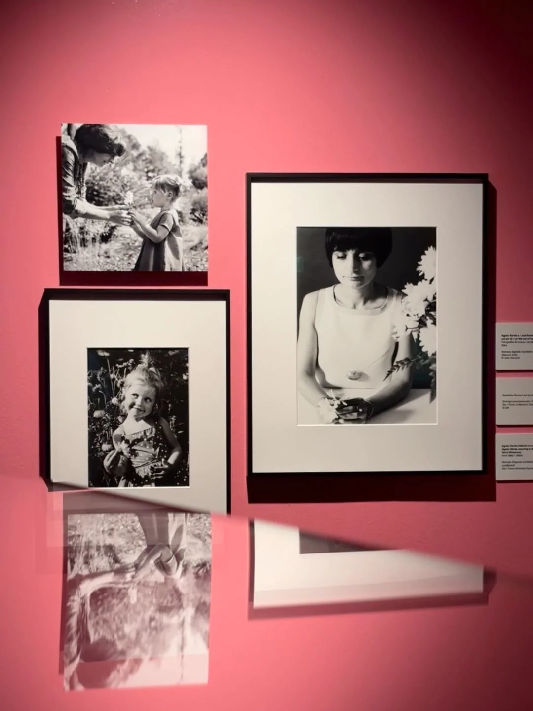 Dettaglio dell'allestimento e delle opere esposte alla mostra di Agnès Varda a Bologna. Documentazione visiva di mostre d'arte e rassegne fotografiche.