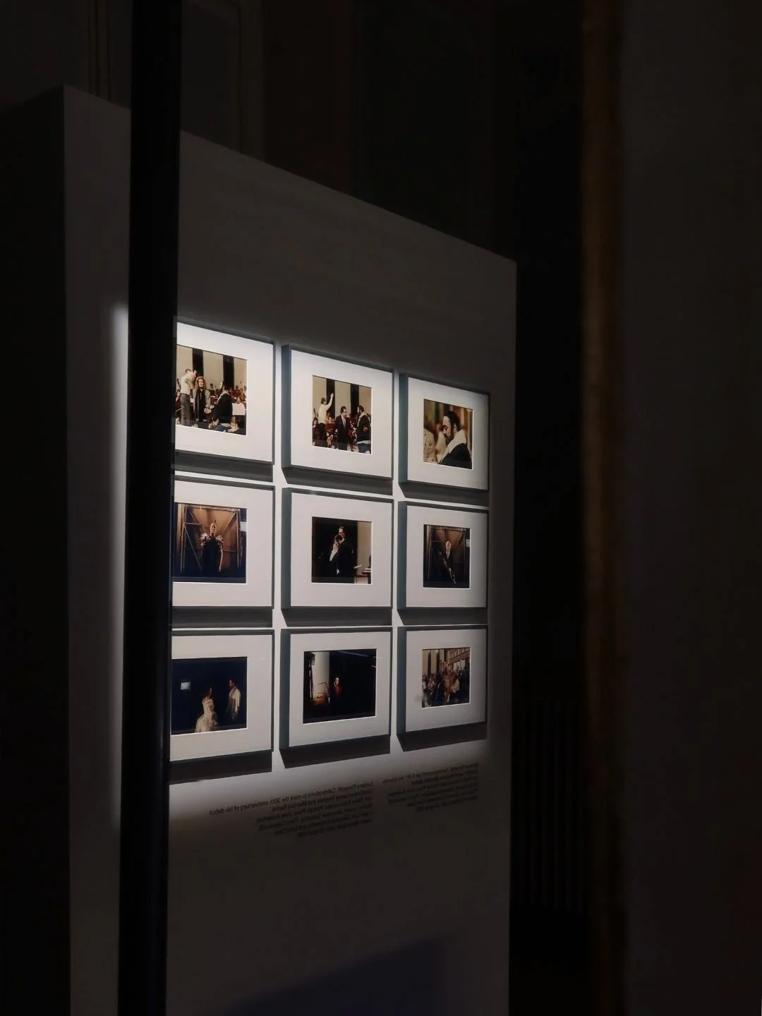Mostra di fotografie incorniciate appese al muro in un ambiente di museo o galleria d'arte.