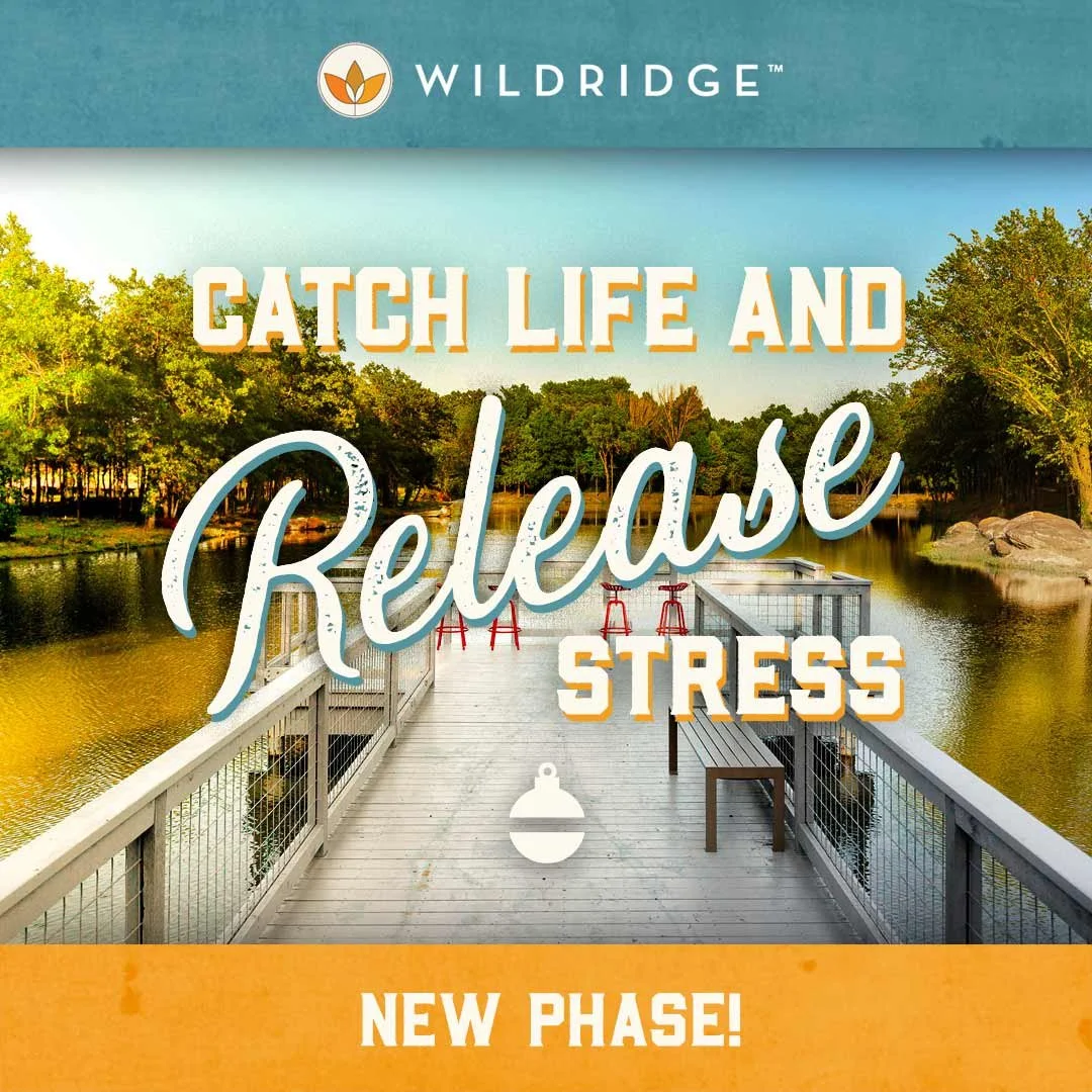 24_WILD_S3.jpg