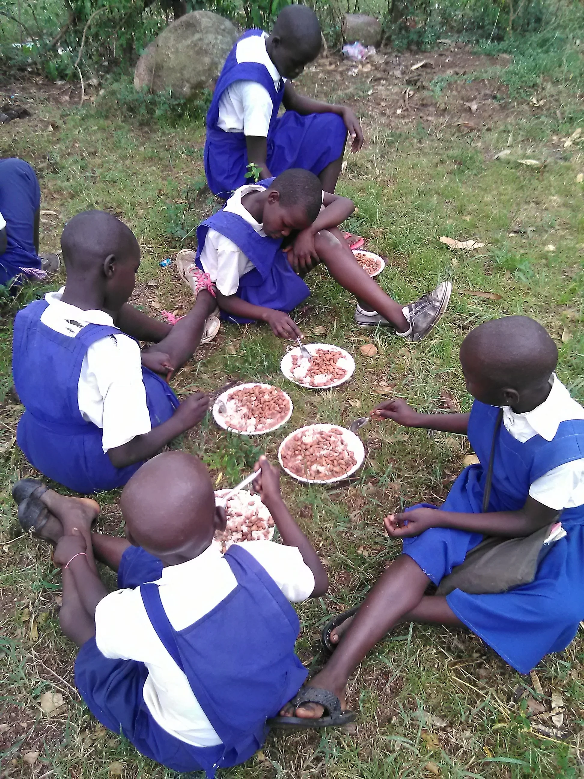 School children in rural Kenya are dressed in blue and white uniforms and sitting on grass outdoors, eating food from plates.