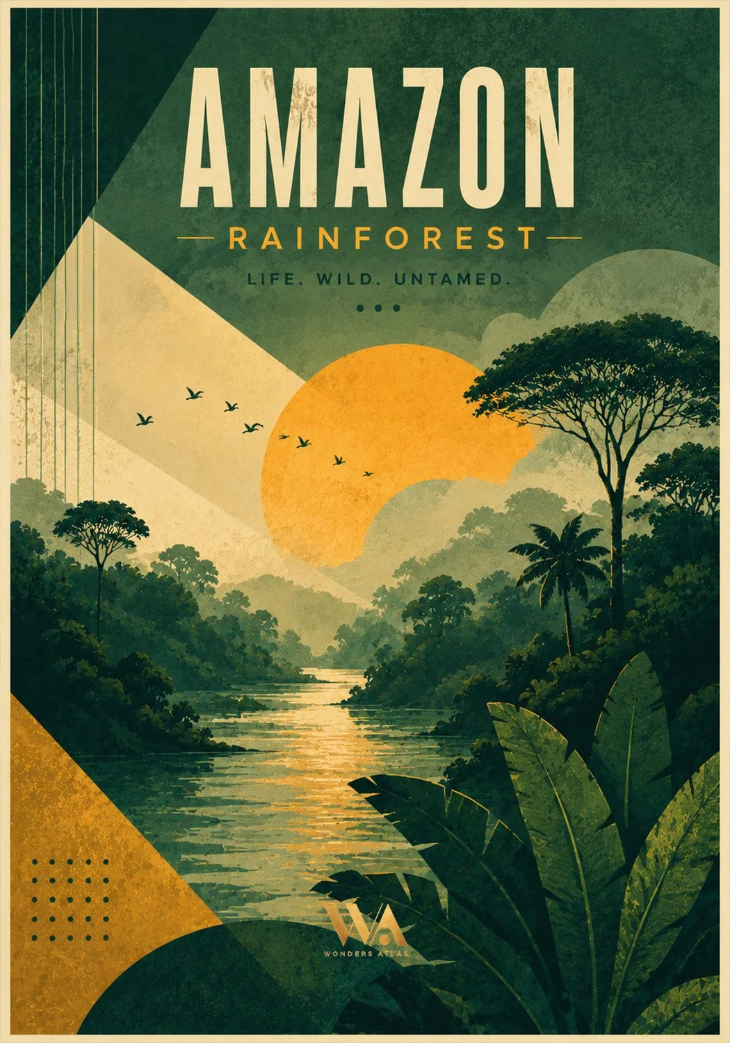 Amazon.jpg