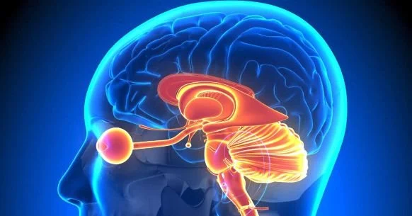 Brainspotting in Therapy: A Path to Emotional Wellness and Healing Trauma