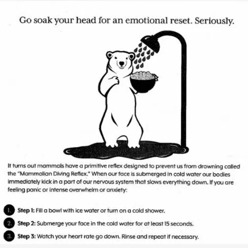 Infographic showing the benefits of deep breathing and vagal nerve stimulation