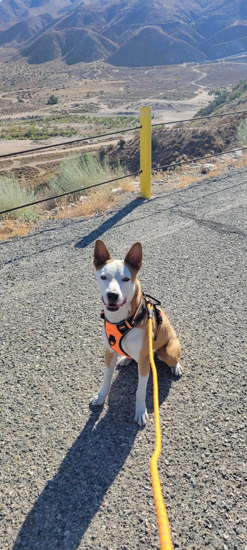 Adventure Walks