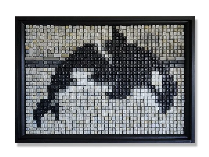 Keyller Whale