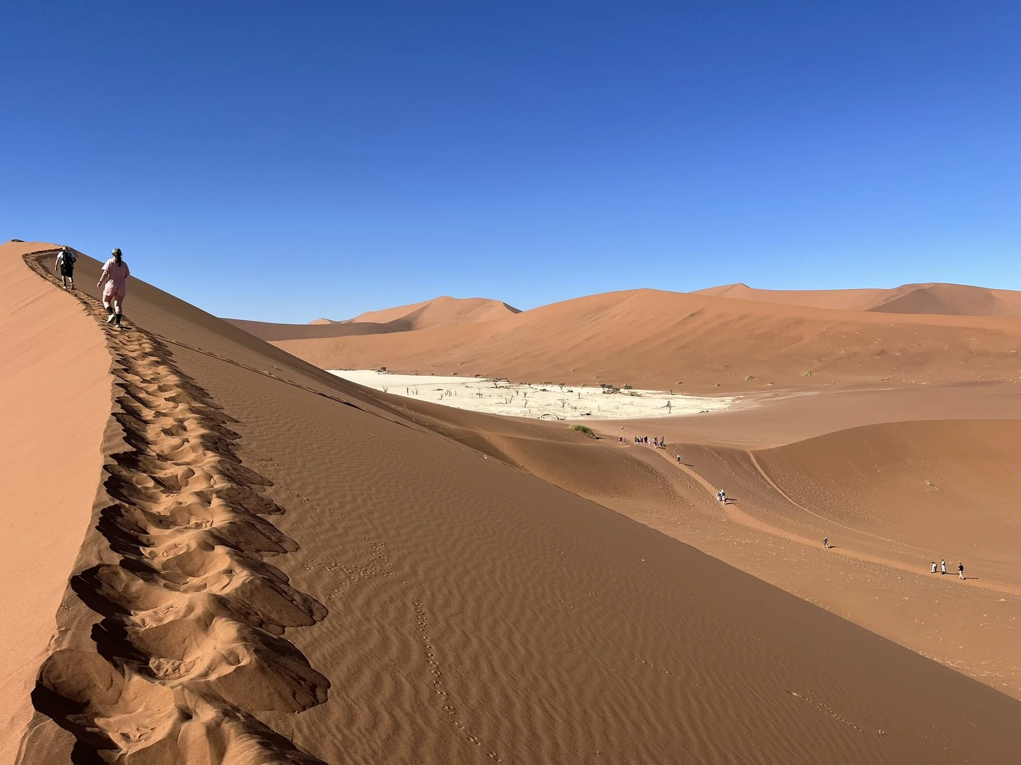 People walking up and down sand dunes in a desert landscape with clear blue sky.