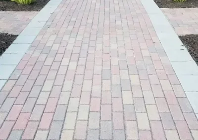 A brick sidewalk bordered by concrete along the edges.