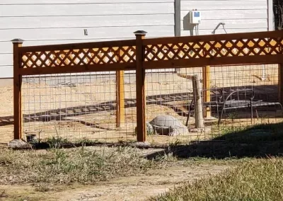 A wooden fence with lattice design on top, surrounding a yard with a concrete slab, some rocks, and a black car parked nearby.