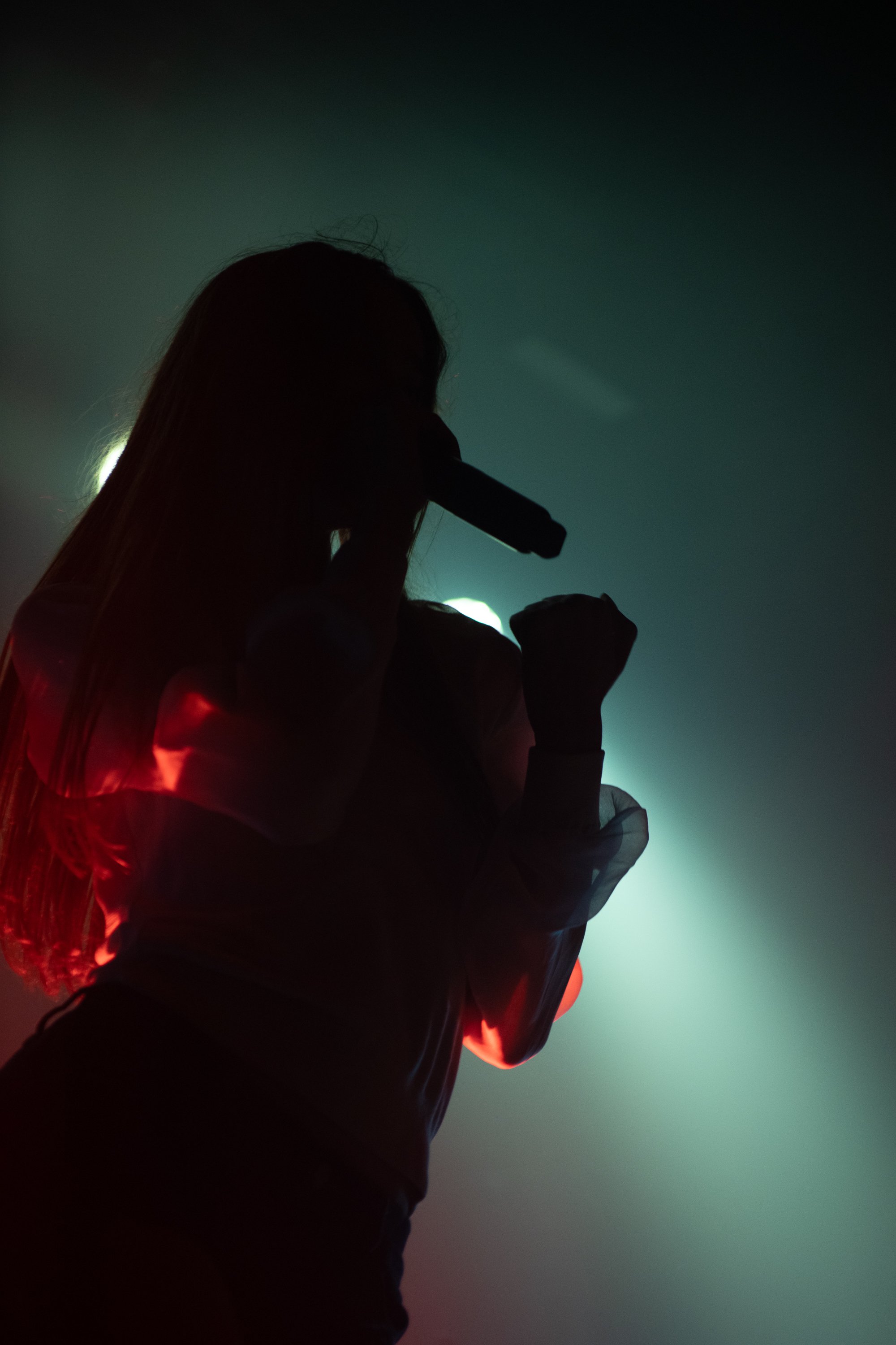 Snow_Strippers_Bham-07.jpg