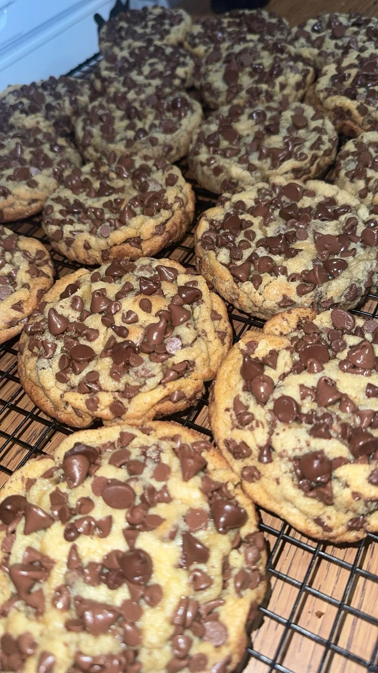 Chewy Chocolate Chip