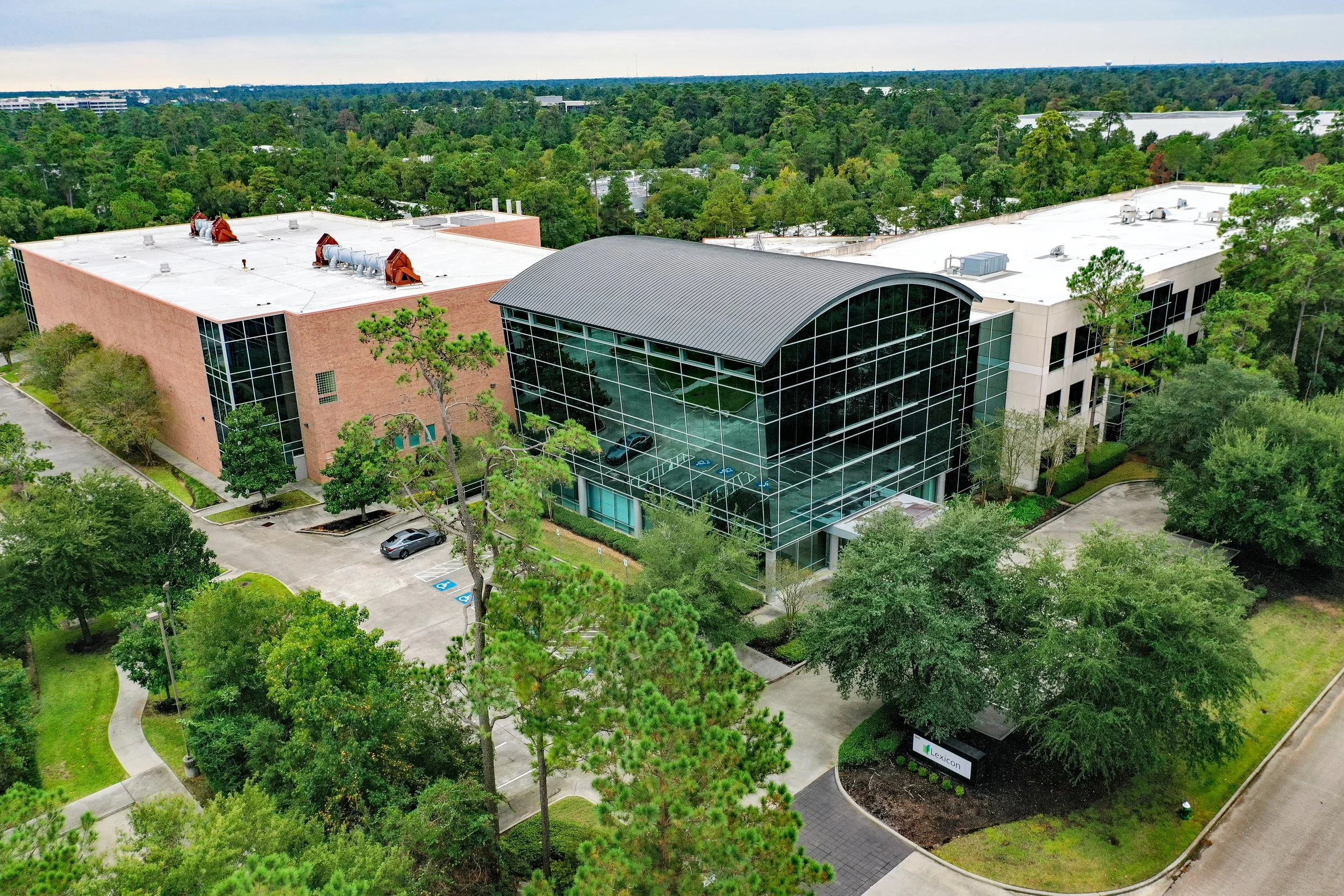 Lexicon Pic 1.jpg