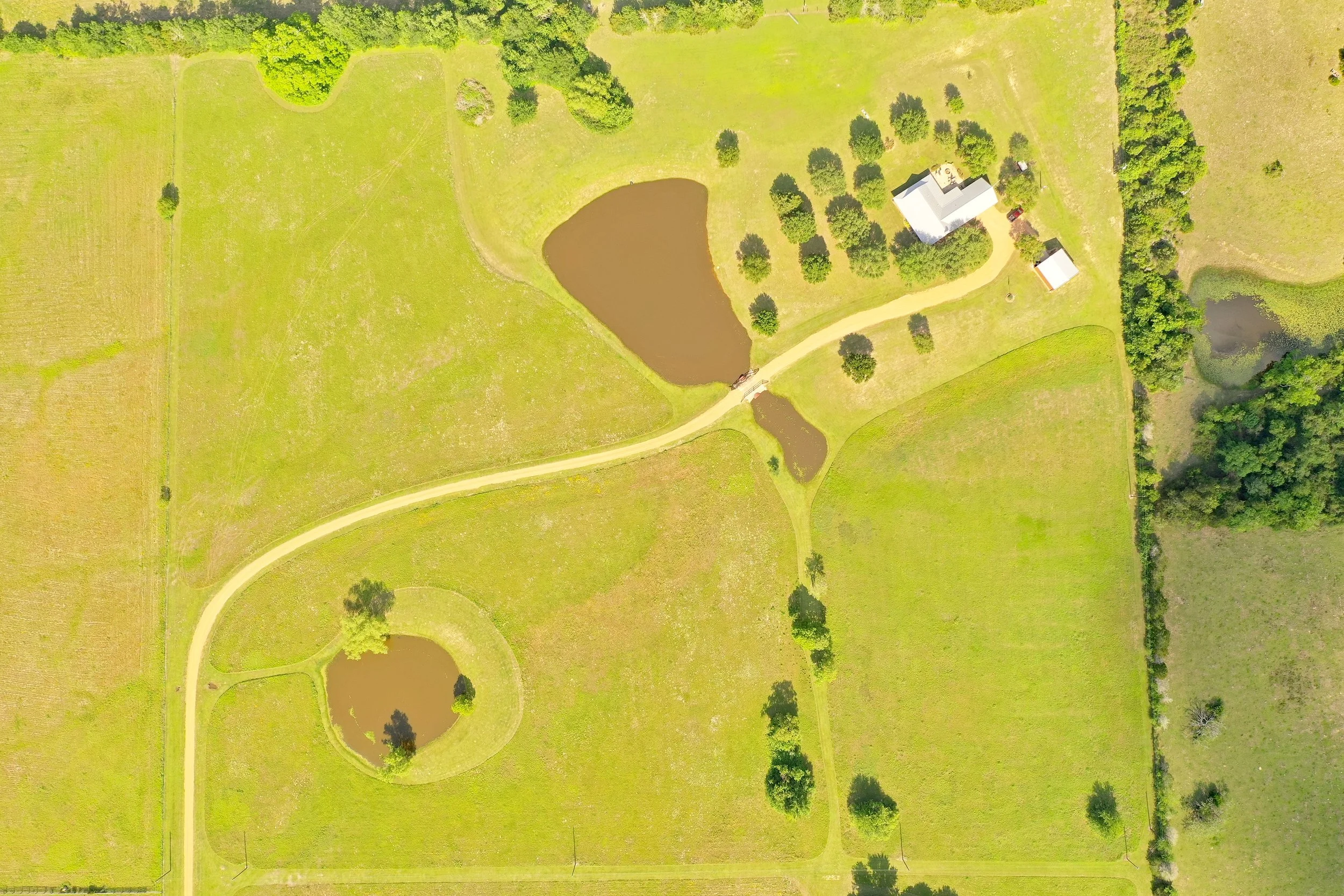 Bobbi Aerial.jpg