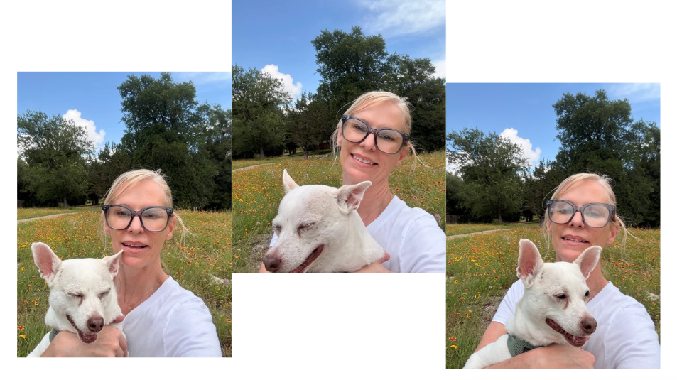 The Dog I Swore I Would Never Have