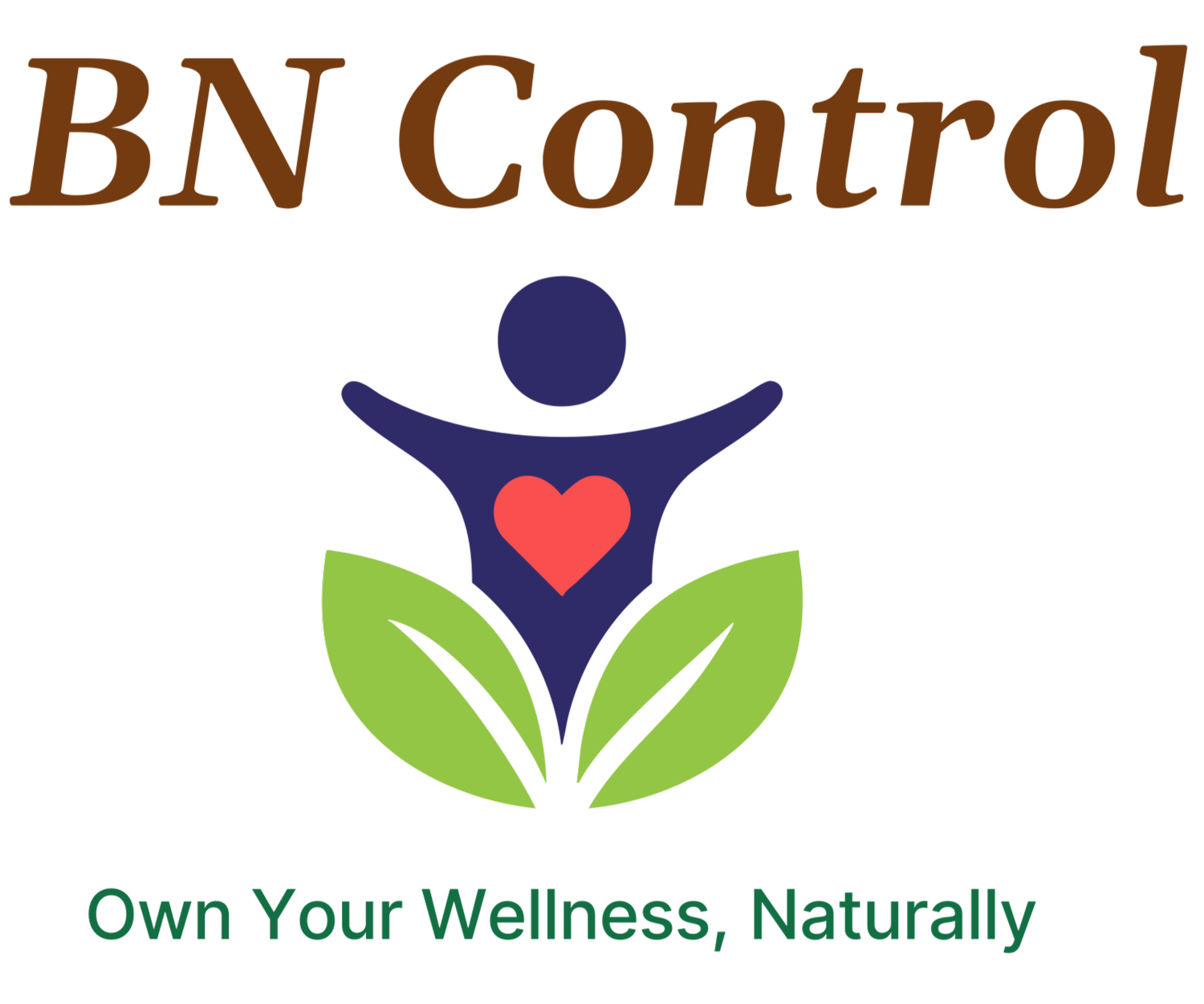 BN Control LLC