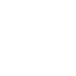 A blank white background with a small black asterisk at the top.