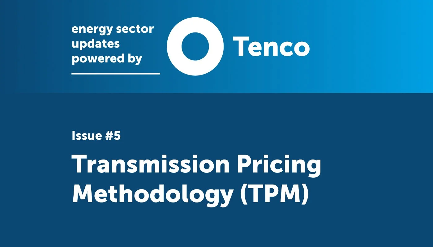 Transmission Pricing Methodology (TPM)