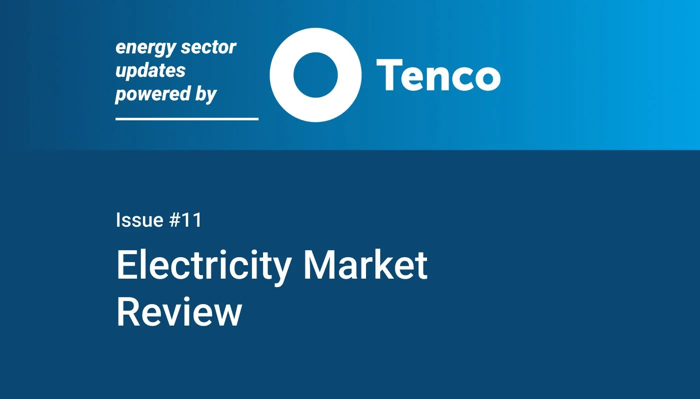 Electricity Market Review