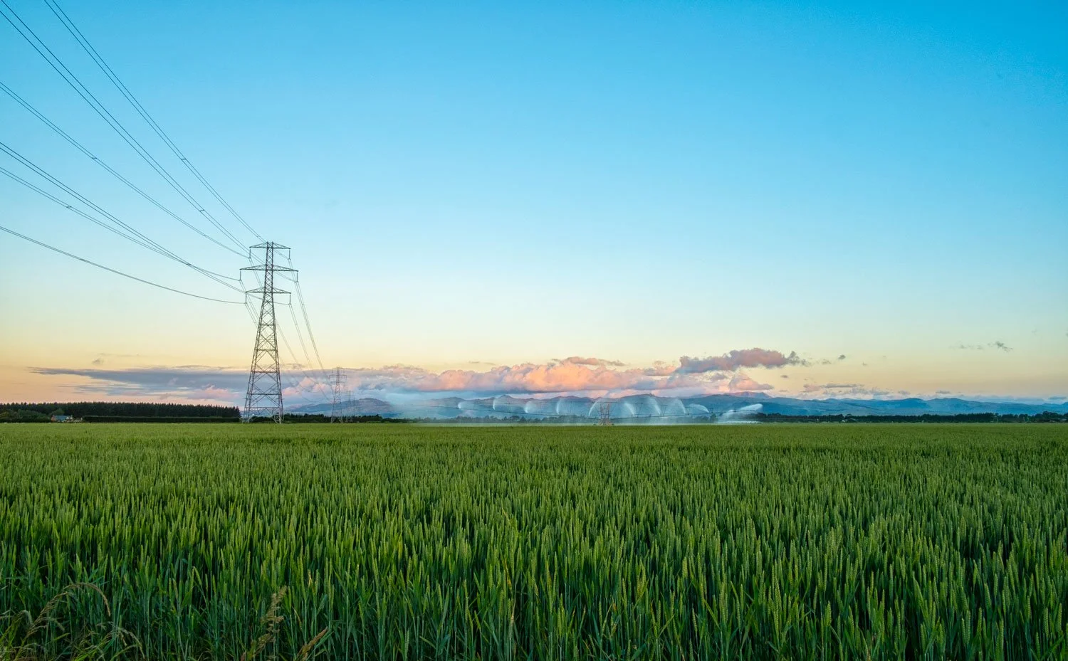 A field of green crops with power lines and towers in the background under a sky with clouds and mountains on the horizon.
