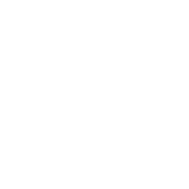White lightning bolt symbol on a black background.