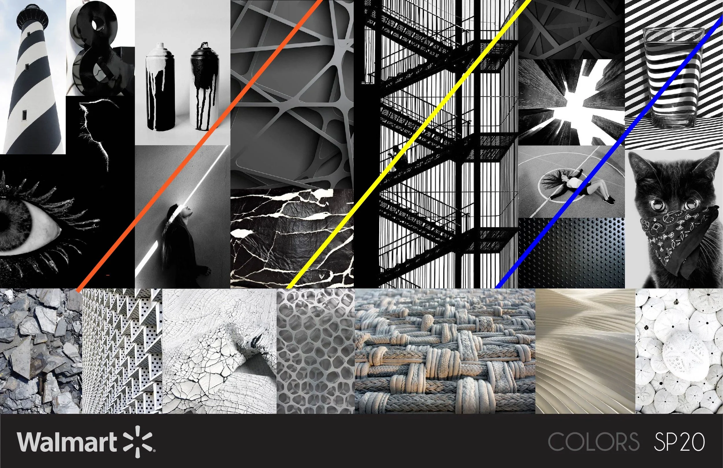 COLOR-SP20-03.jpg
