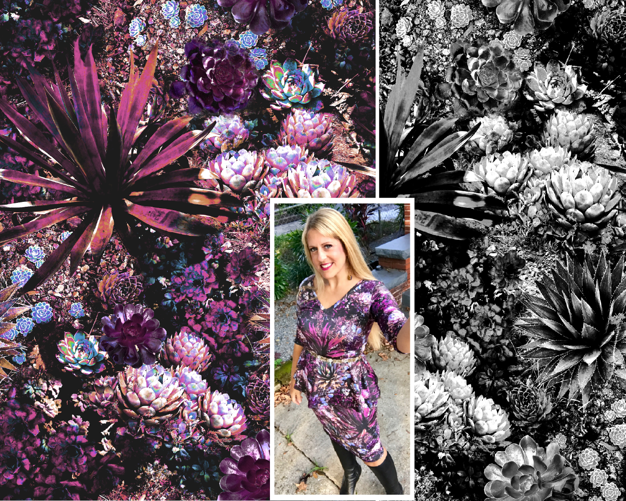 agave garden.webp