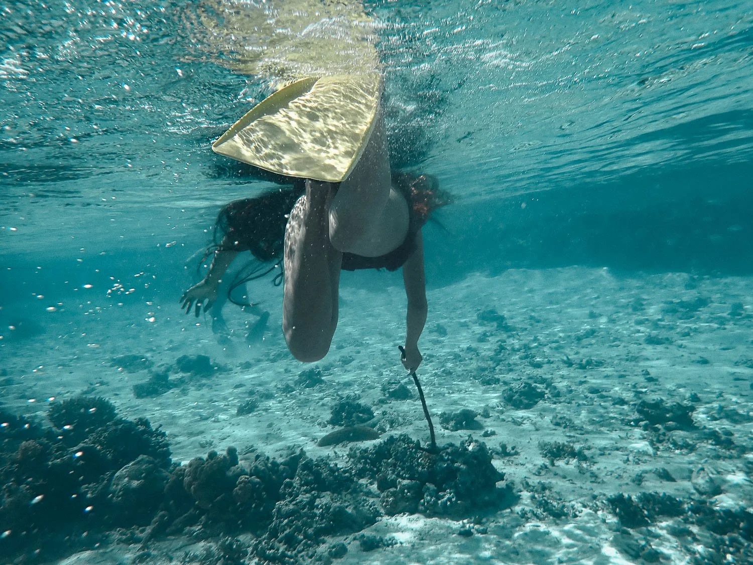 TrejoRaquel_Coral Kids_Marine Conservation_Oceania-158.jpg