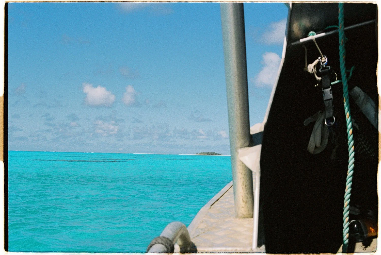 TrejoRaquel_Coral Kids_Marine Conservation_Oceania-9-2.jpg