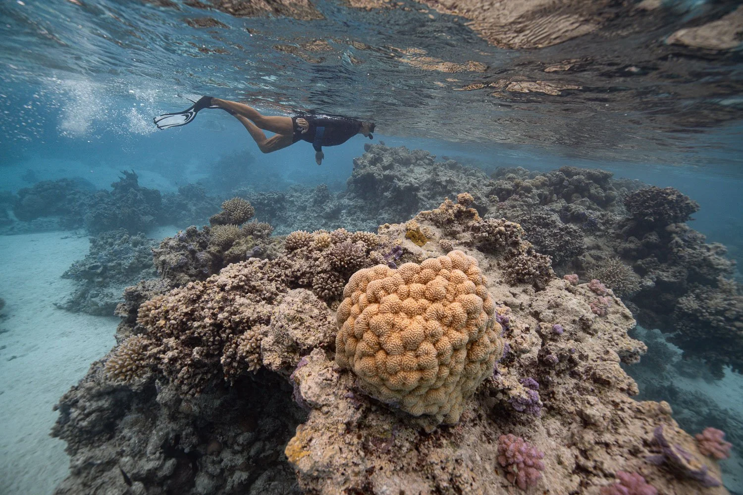 TrejoRaquel_Coral Kids_Marine Conservation_Oceania-13.jpg