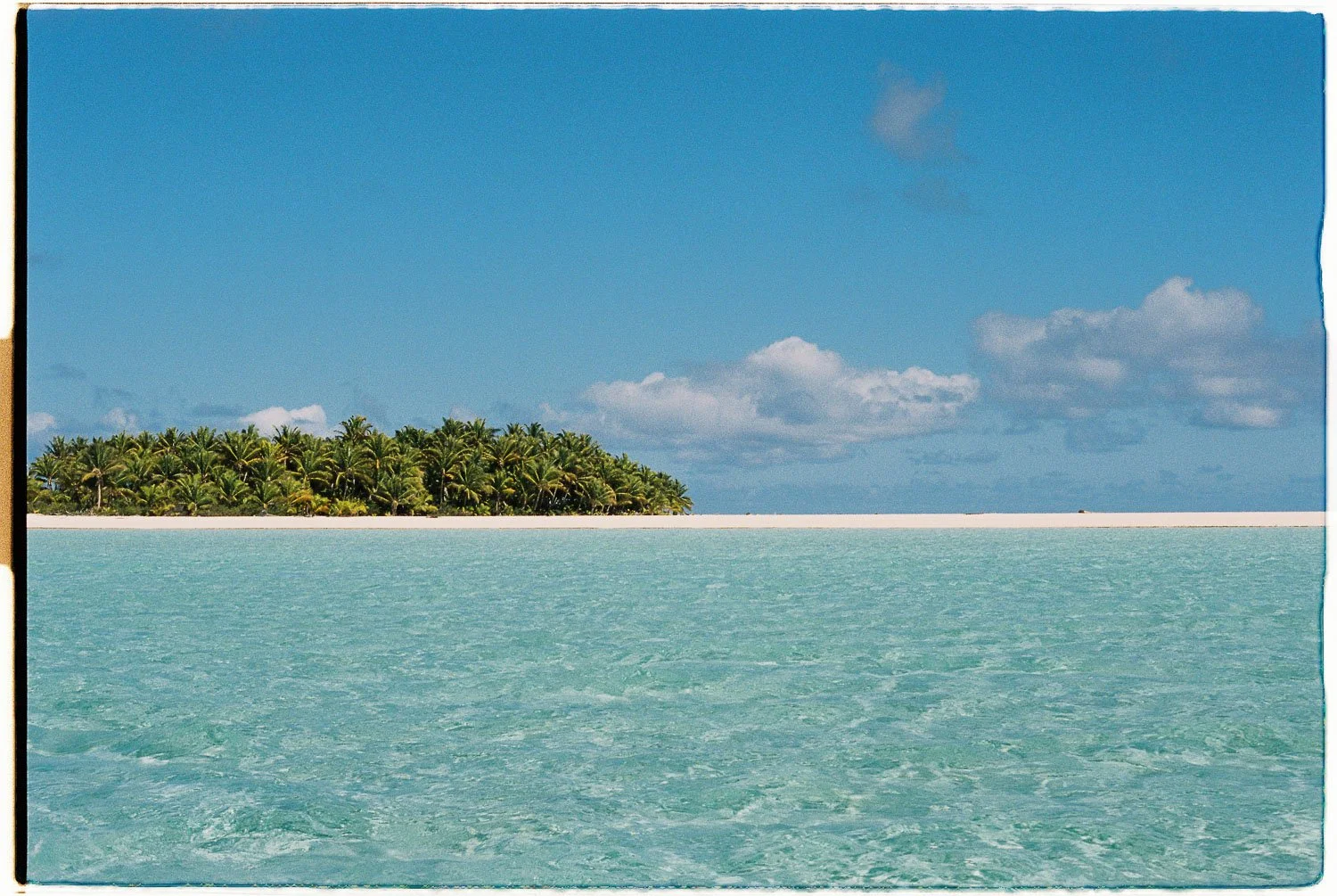 TrejoRaquel_Coral Kids_Marine Conservation_Oceania-23-2.jpg