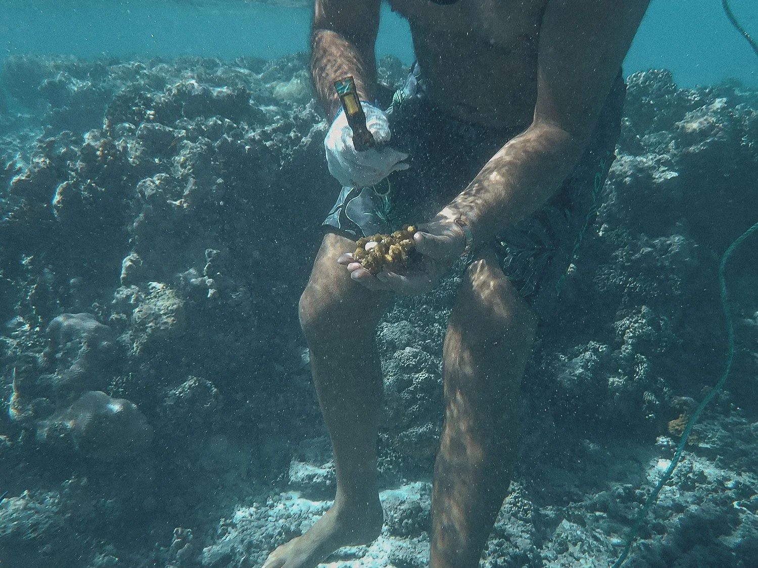 TrejoRaquel_Coral Kids_Marine Conservation_Oceania-16.jpg