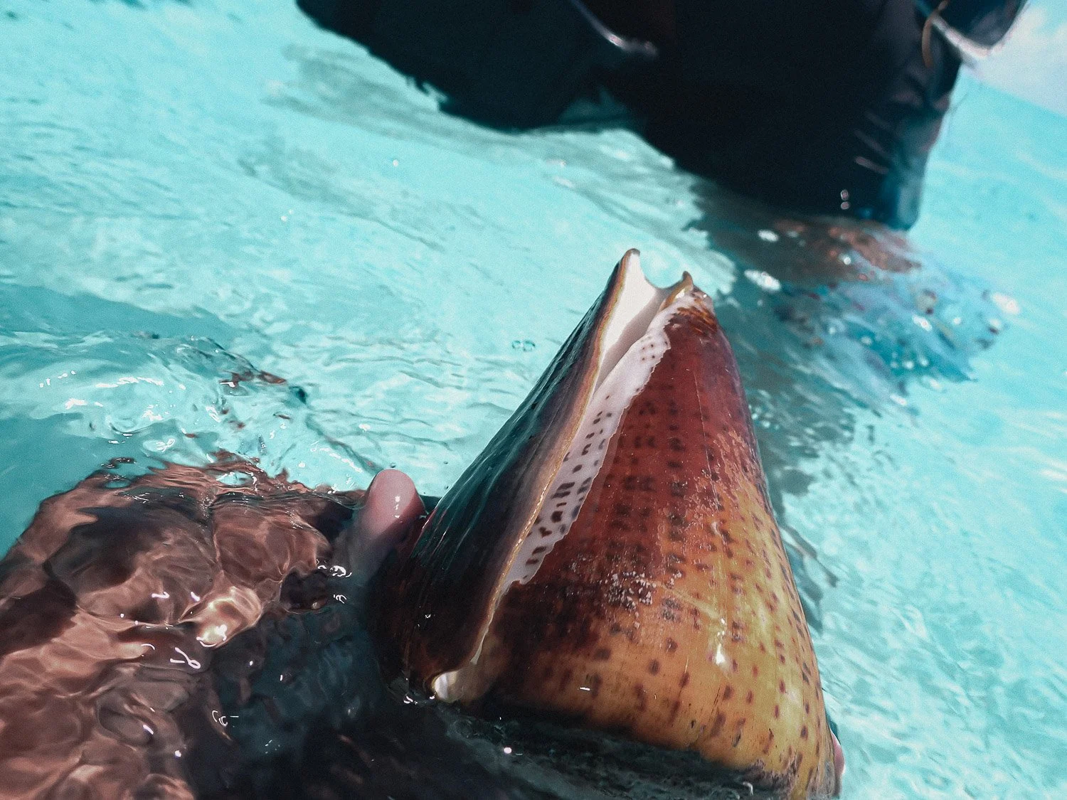 TrejoRaquel_Coral Kids_Marine Conservation_Oceania-64.jpg