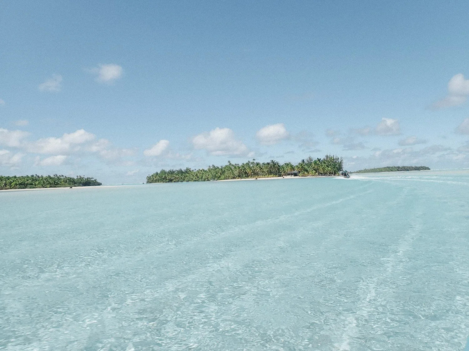 TrejoRaquel_Coral Kids_Marine Conservation_Oceania-43.jpg