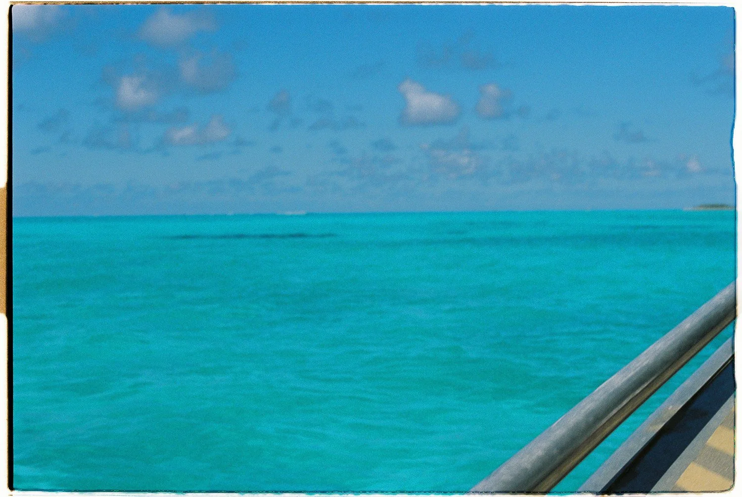 TrejoRaquel_Coral Kids_Marine Conservation_Oceania-6-2.jpg