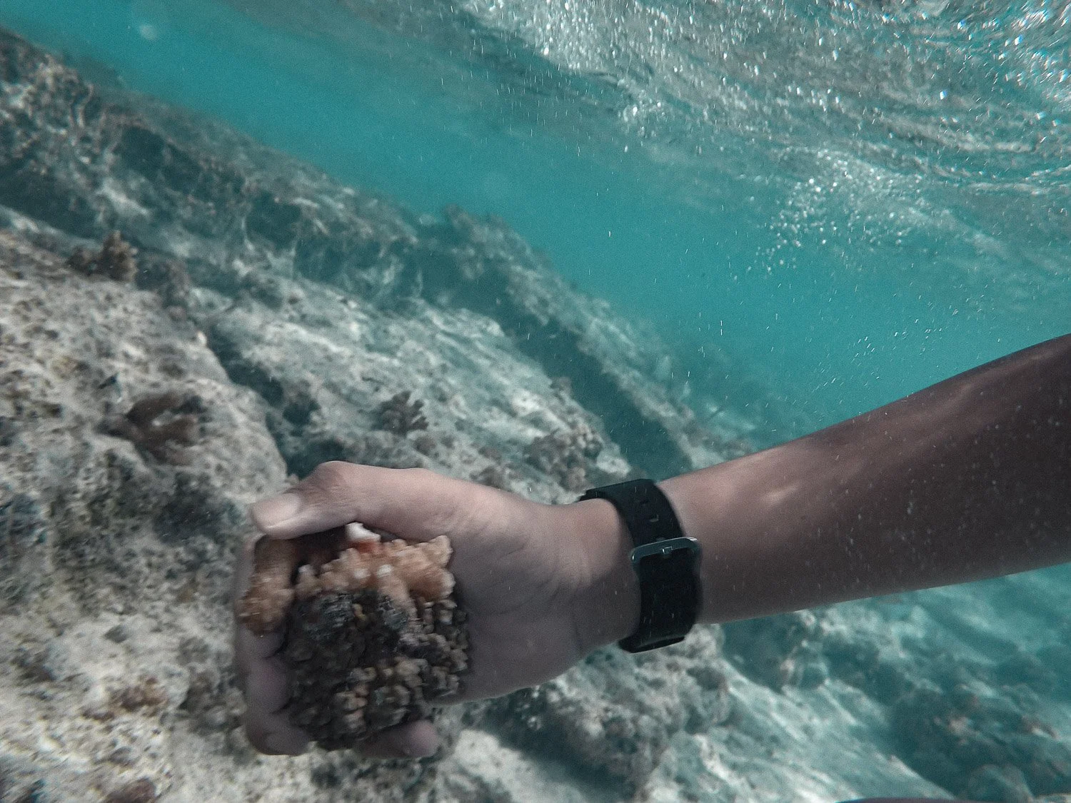 TrejoRaquel_Coral Kids_Marine Conservation_Oceania-67.jpg