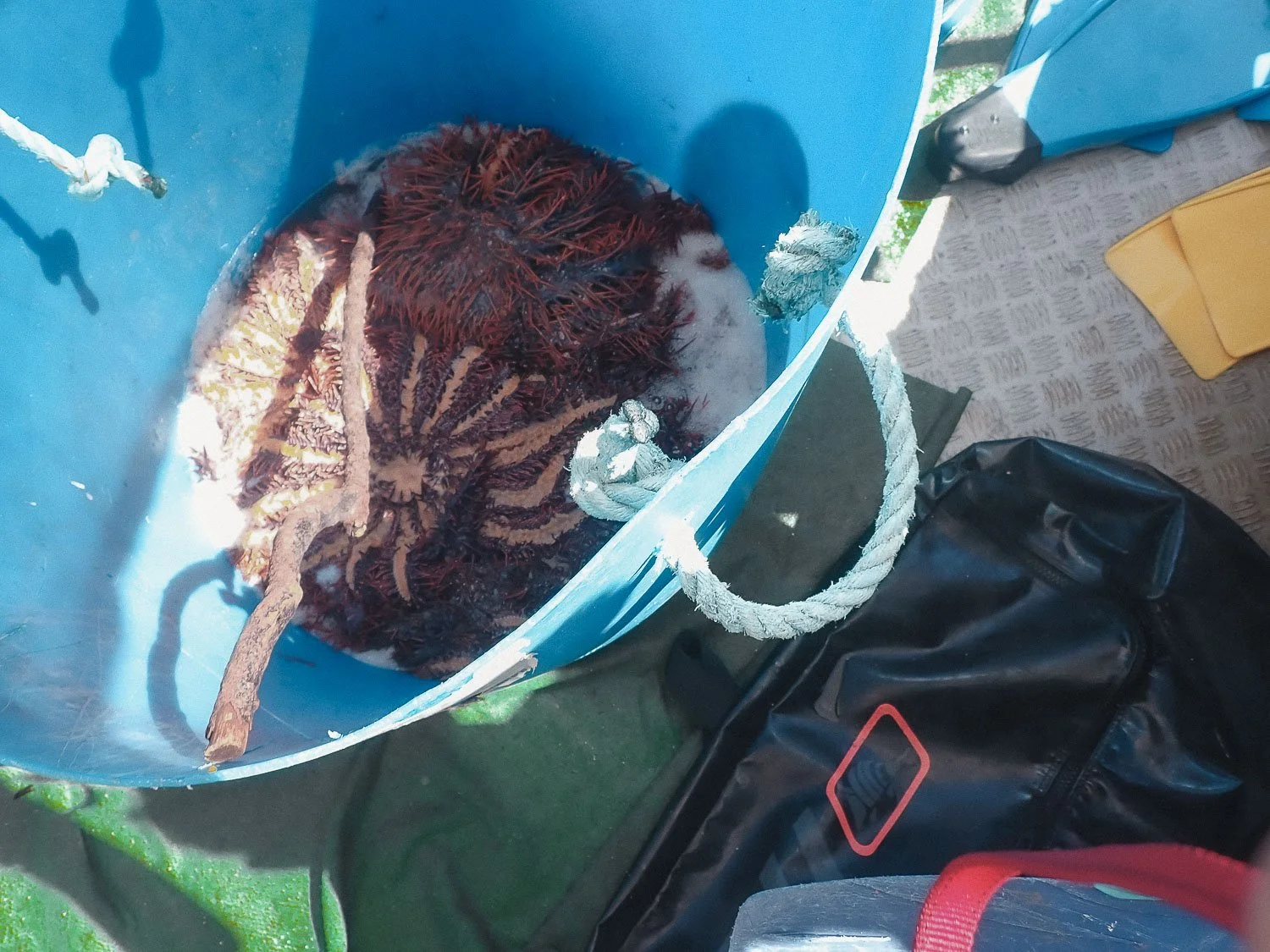 TrejoRaquel_Coral Kids_Marine Conservation_Oceania-141.jpg