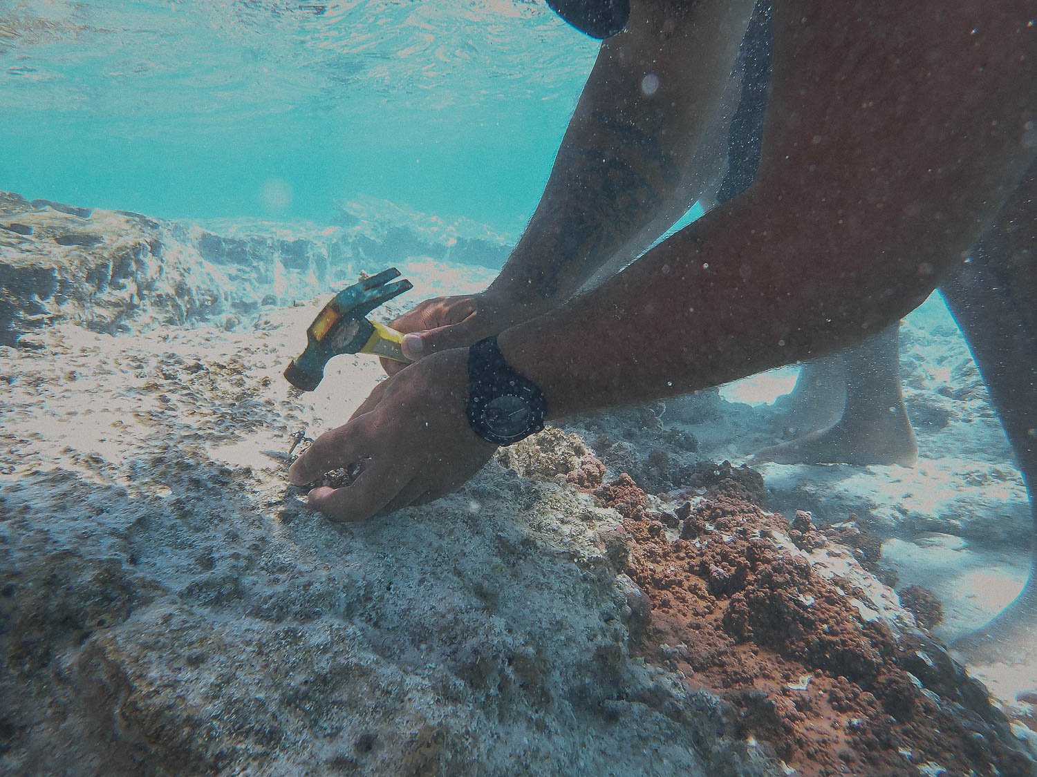 TrejoRaquel_Coral Kids_Marine Conservation_Oceania-66.jpg