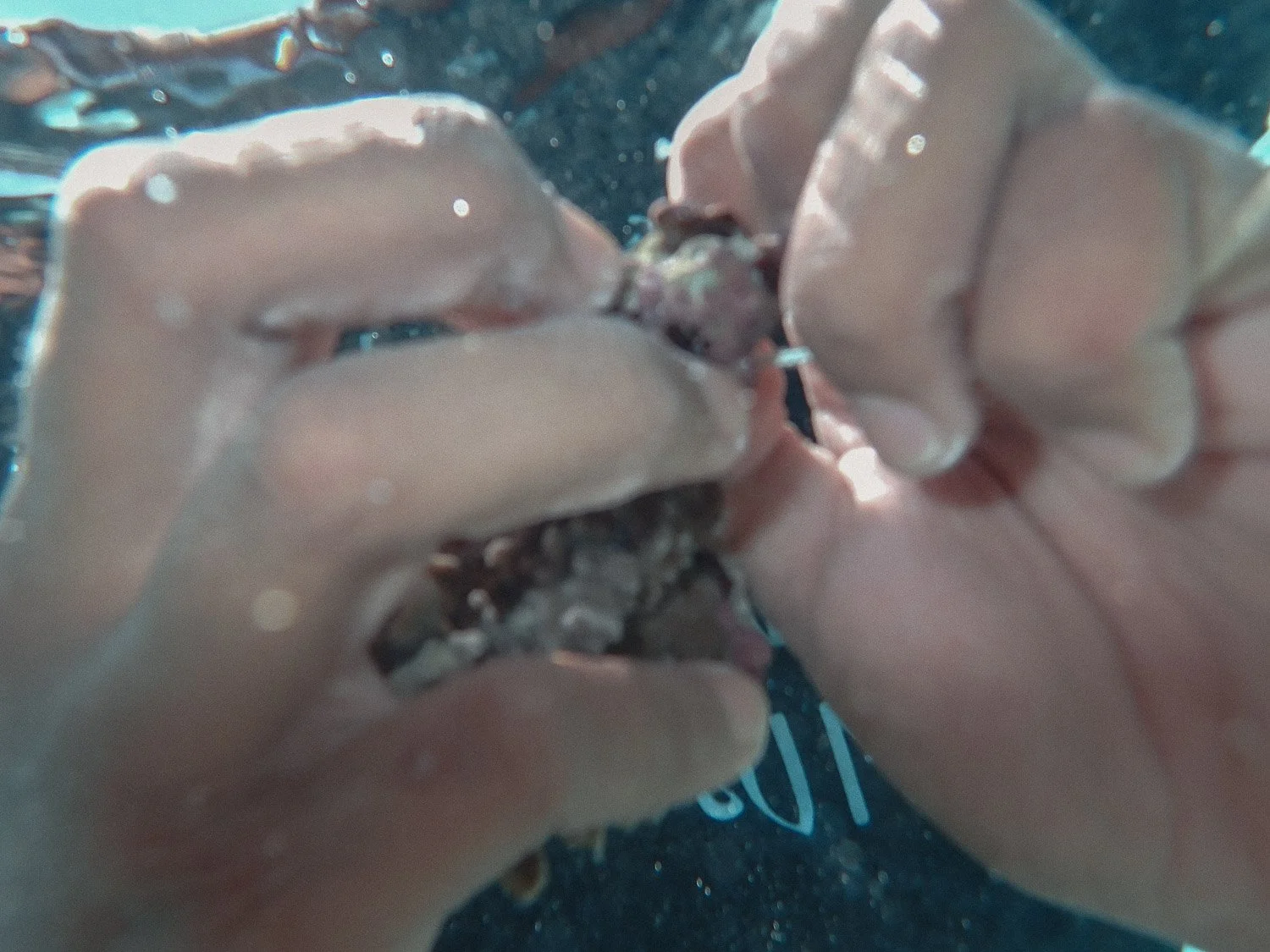 TrejoRaquel_Coral Kids_Marine Conservation_Oceania-55.jpg