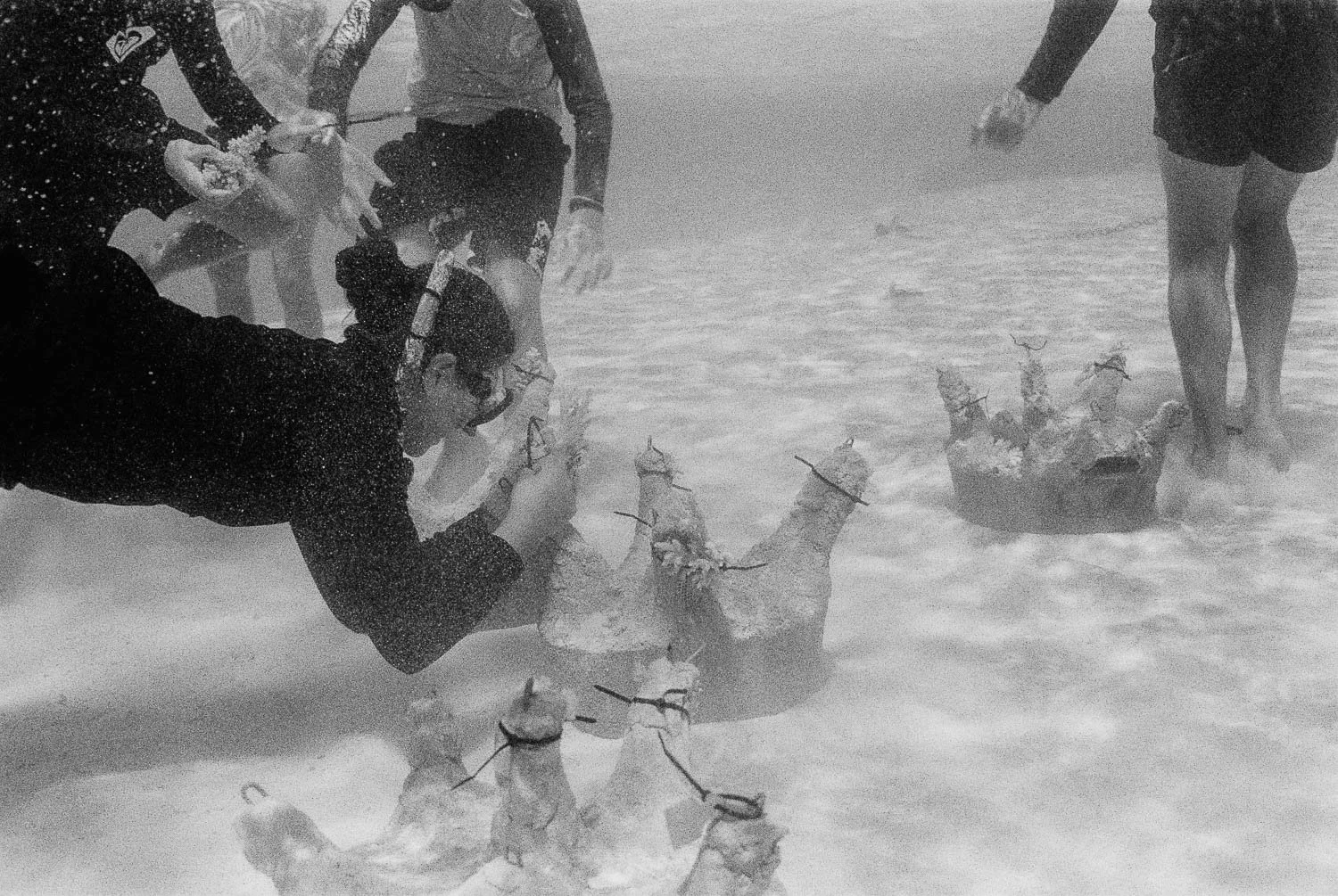 TrejoRaquel_Coral Kids_Marine Conservation_Oceania-2-2.jpg