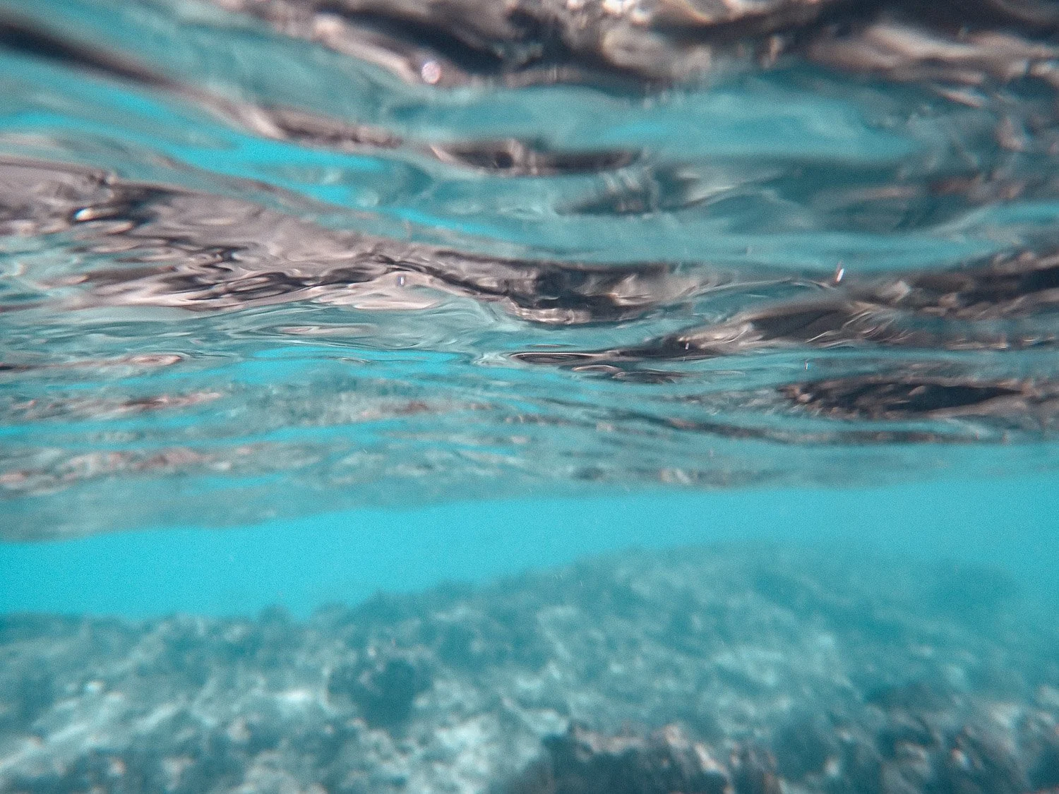 TrejoRaquel_Coral Kids_Marine Conservation_Oceania-65.jpg