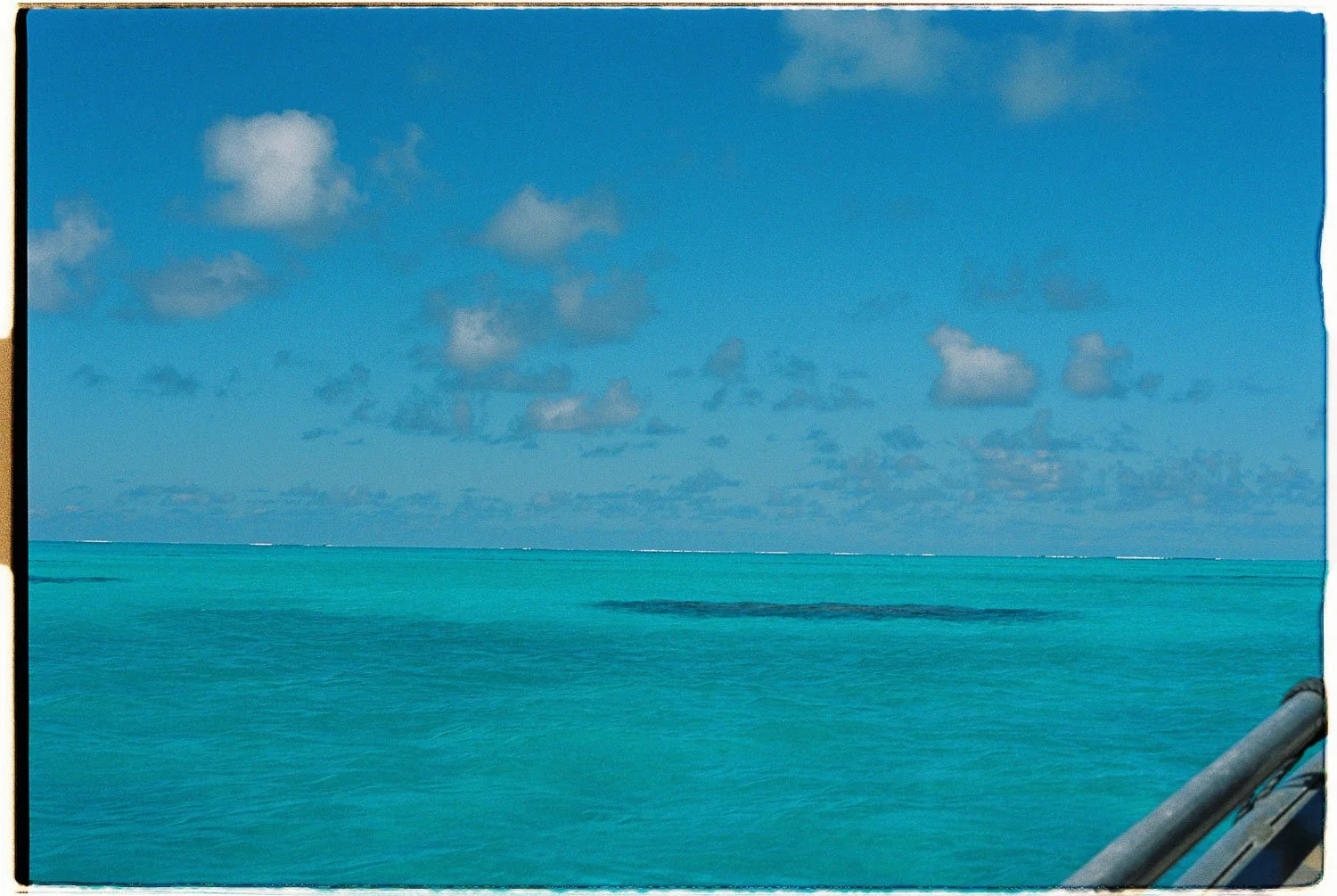 TrejoRaquel_Coral Kids_Marine Conservation_Oceania-7-2.jpg