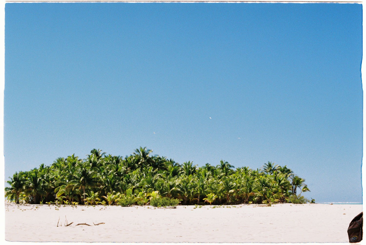 TrejoRaquel_Coral Kids_Marine Conservation_Oceania-2.jpg