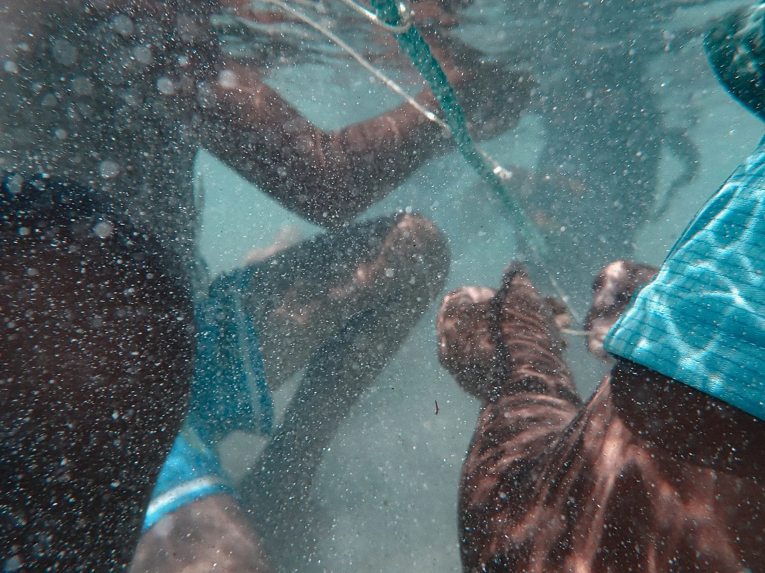 TrejoRaquel_Coral Kids_Marine Conservation_Oceania-53.jpg