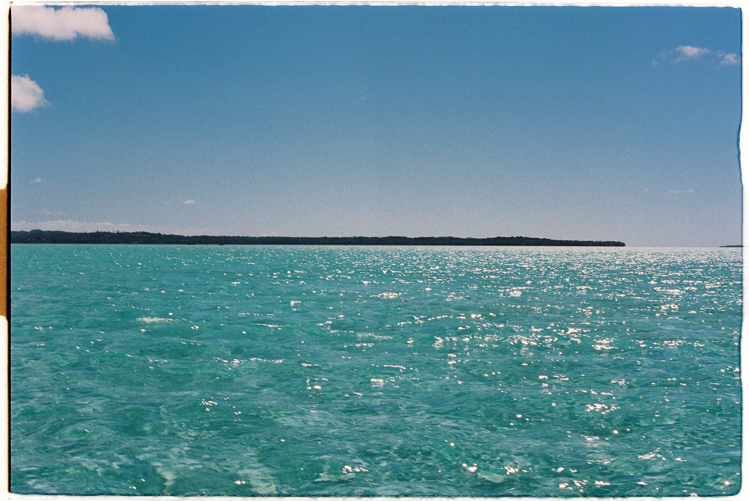 TrejoRaquel_Coral Kids_Marine Conservation_Oceania-32-2.jpg