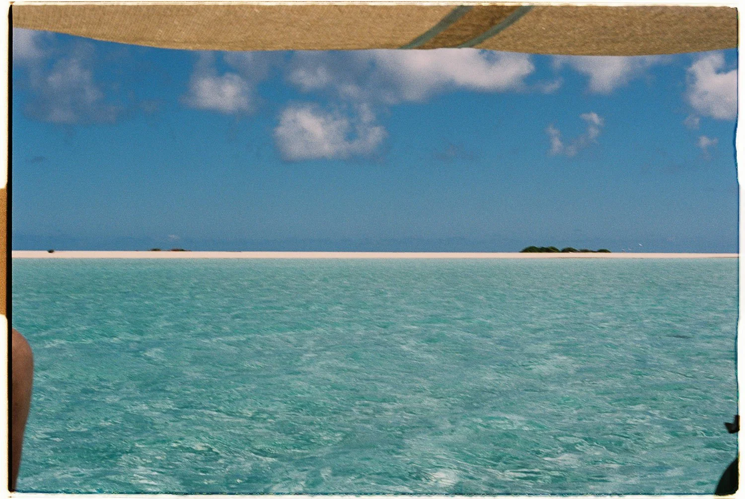 TrejoRaquel_Coral Kids_Marine Conservation_Oceania-30-2.jpg