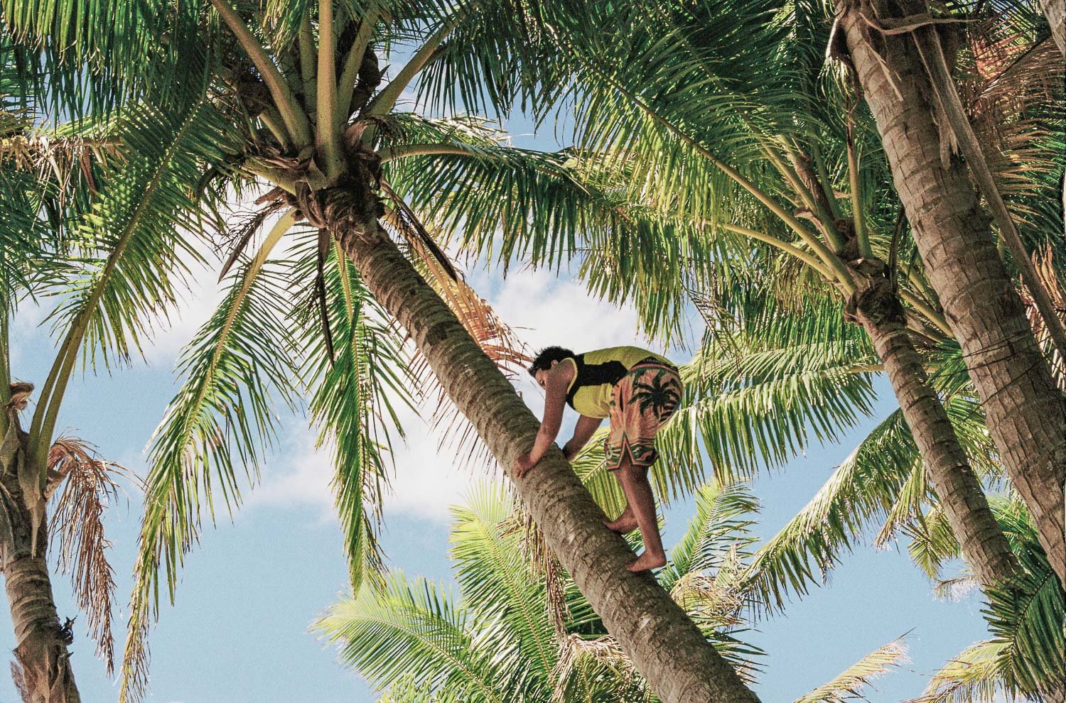 TrejoRaquel_Coral Kids_Marine Conservation_Oceania-10-3.jpg