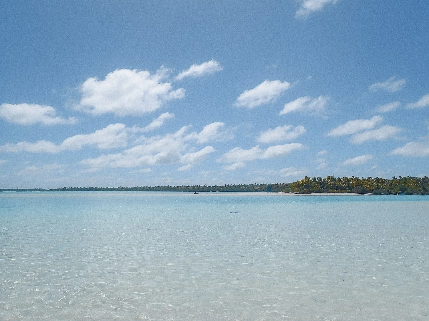 TrejoRaquel_Coral Kids_Marine Conservation_Oceania-26.jpg